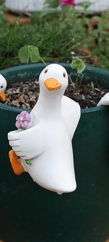 Asılan Saksı Süsü Çiçekli Kaz