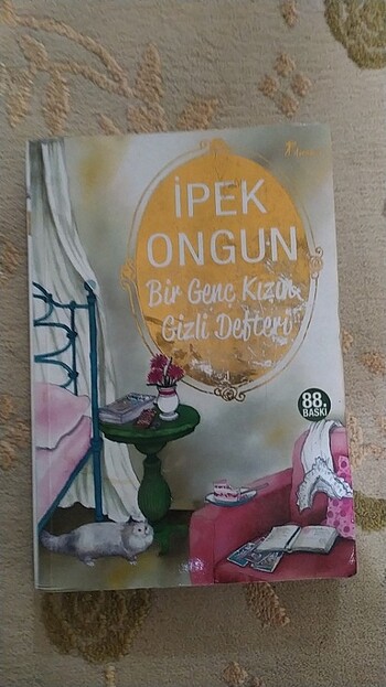 Bir genç kızın gizli defteri kitap serisi