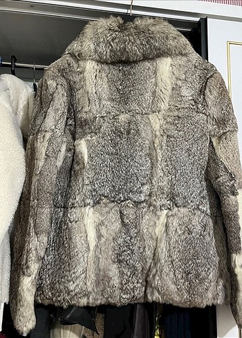 Gri Kürk - Görsel 2