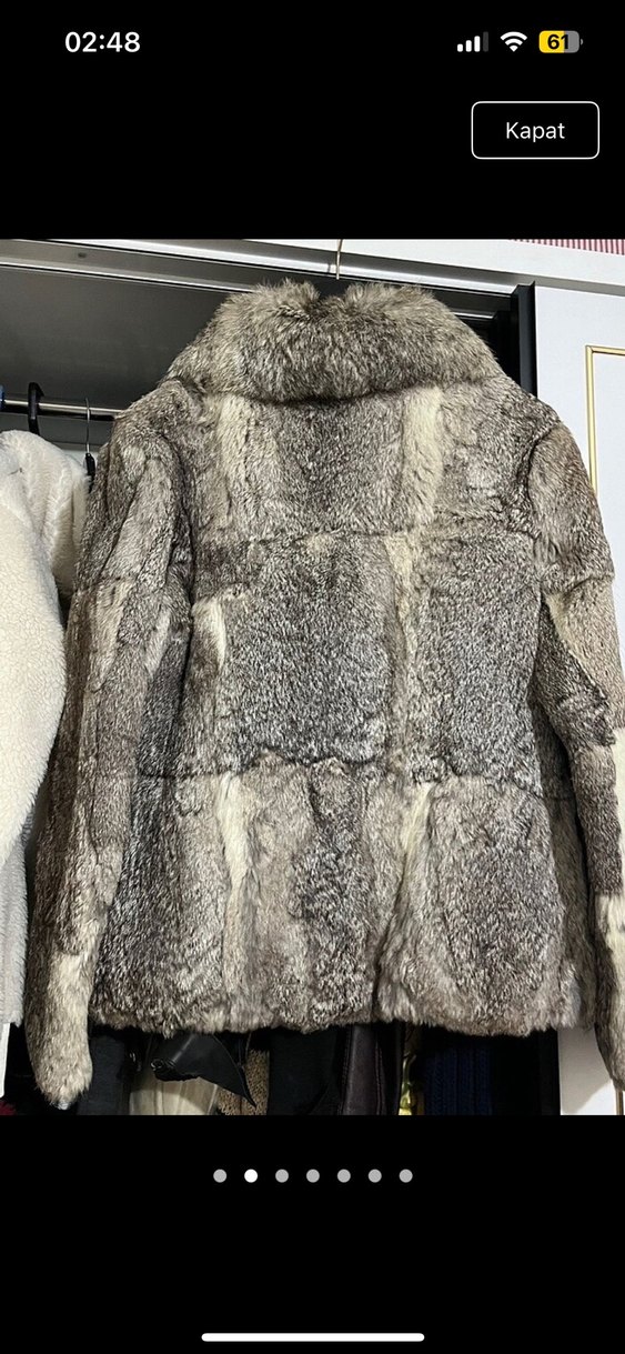 Gri Kürk - Görsel 2