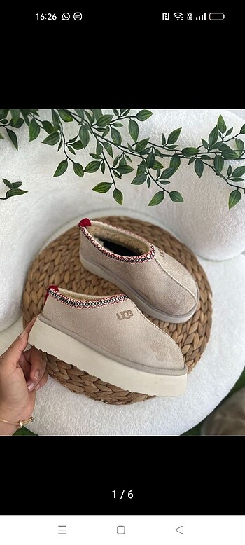 Tazz slipper terlik ugg