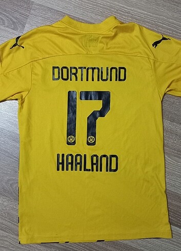Dortmund Haaland Forması