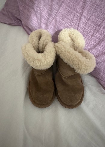 Ugg 29