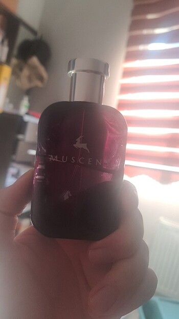 Muscent Kirke