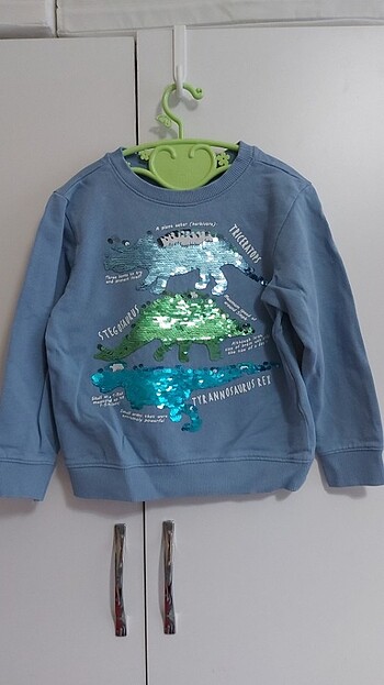 H&M dinazor sweatshirt