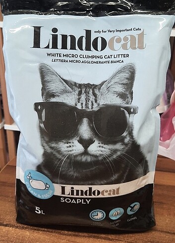 Kedi kumu