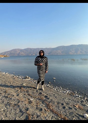 Zebra Desenli V Yaka Uzun Kollu Triko Elbise - Görsel 3