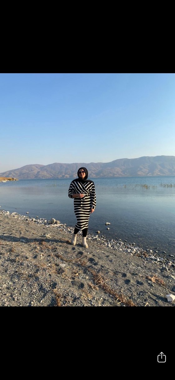 Zebra Desenli V Yaka Uzun Kollu Triko Elbise - Görsel 3