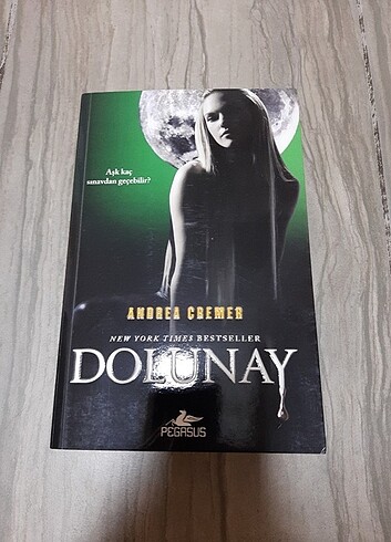  Silüet Dolunay Ay Işığı Andrea Cremer 