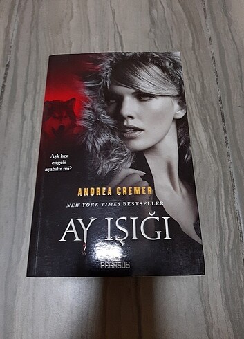  Beden Silüet Dolunay Ay Işığı Andrea Cremer 