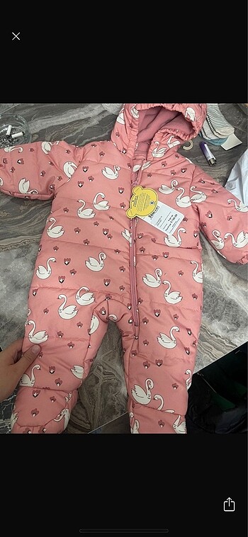Bebek astronot mont