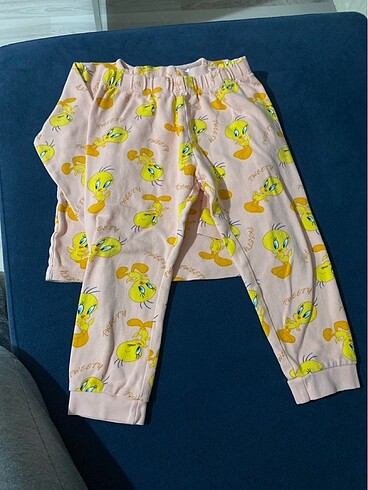 4 Yaş Beden çeşitli Renk Pijama takımı