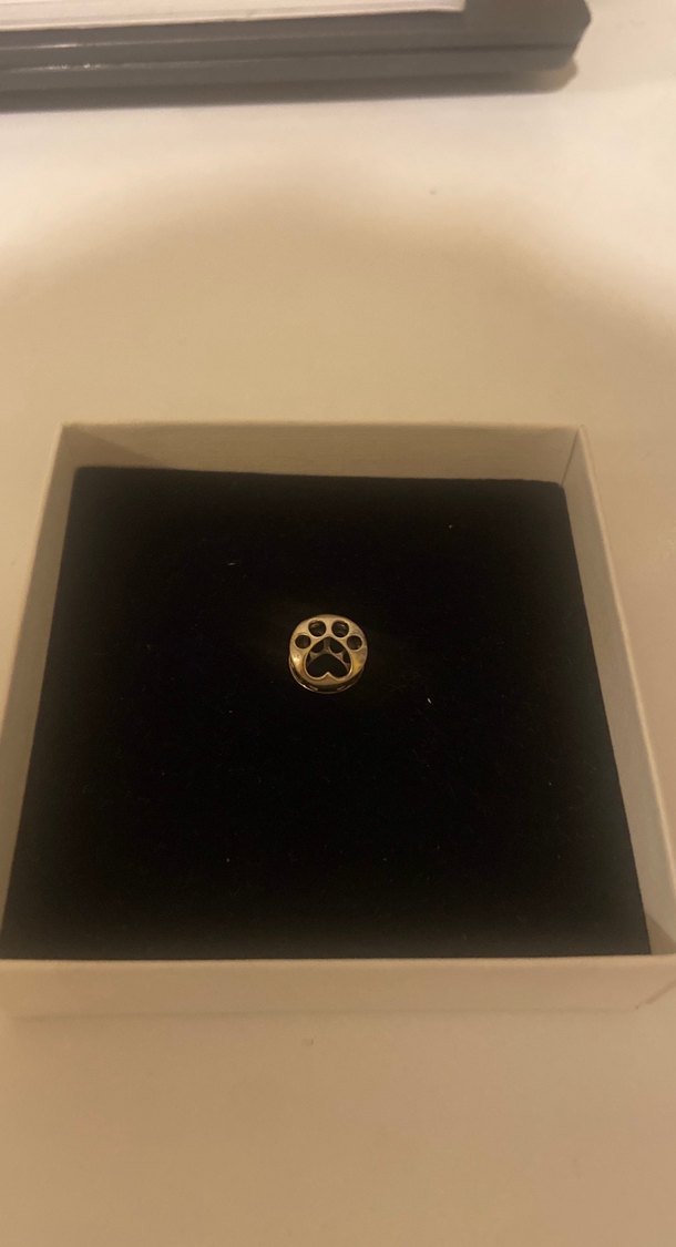 Pandora charm - Görsel 2