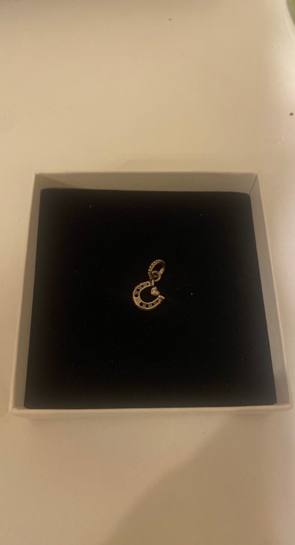 Pandora charm - Görsel 2