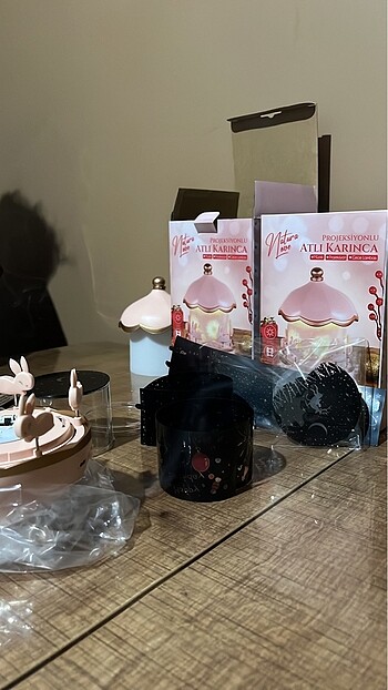  Tavşan projeksiyon