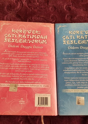 Beden Kore'deki Çatı Katından Sesleniyorum - Didem Duygu Demir