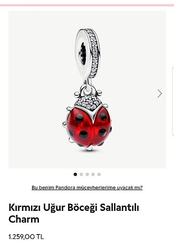 Pandora uğur böceği charm