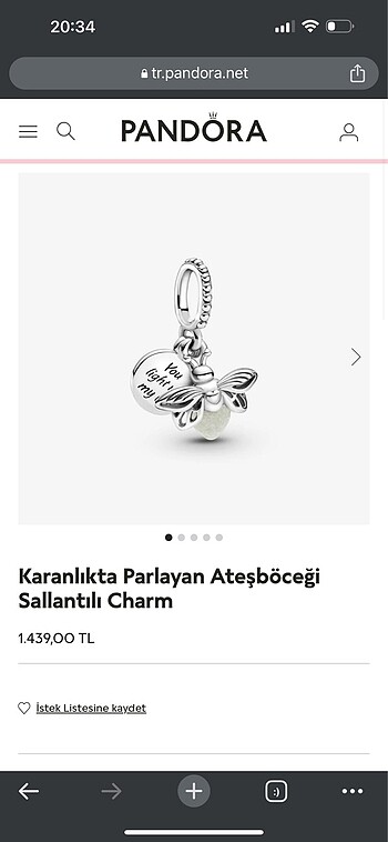 Pandora charm