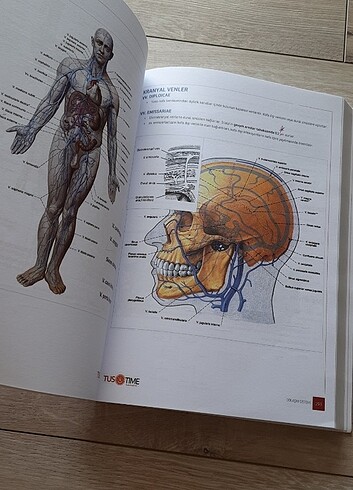  Beden Tustime infotus Anatomi konu kitabı