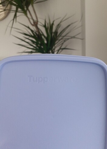 Tupperware Tuperware saklama kabı 