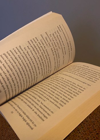 Franz Kafka - Amerika Romanı - Görsel 3