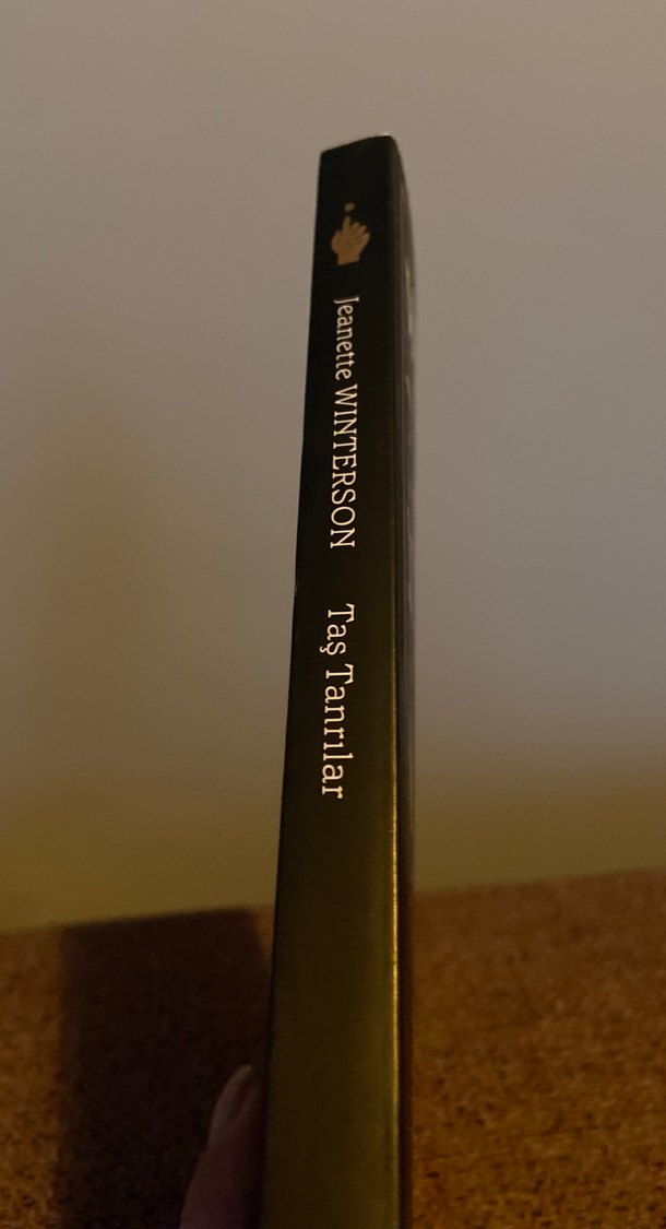 Jeanette Winterson - Taş Tanrılar - Görsel 4