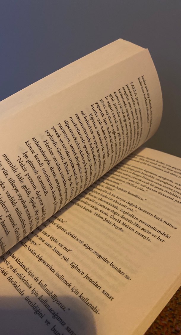 Jeanette Winterson - Taş Tanrılar - Görsel 3