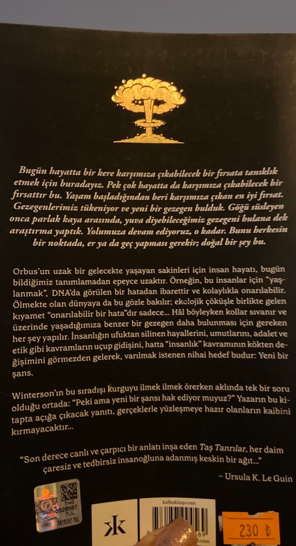 Jeanette Winterson - Taş Tanrılar - Görsel 2