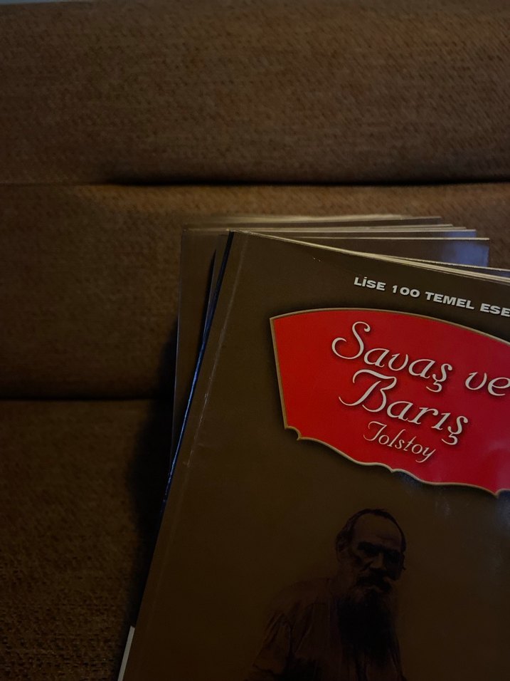 Atatürk portresi oluşturan 20 kitaplık dünya klasikleri serisi - Görsel 3