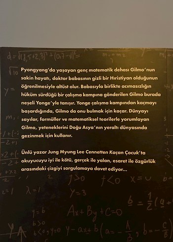 Cennetten Kaçan Çocuk - Jung Myung Lee - Görsel 6