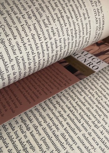 Nefret, Arkadaşlık, Flört, Aşk, Evlilik - Alice Munro - Görsel 5