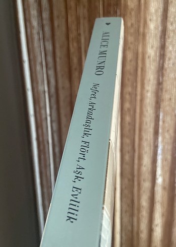 Nefret, Arkadaşlık, Flört, Aşk, Evlilik - Alice Munro - Görsel 3