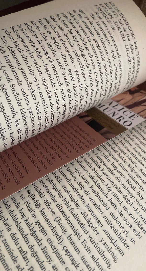 Nefret, Arkadaşlık, Flört, Aşk, Evlilik - Alice Munro - Görsel 5