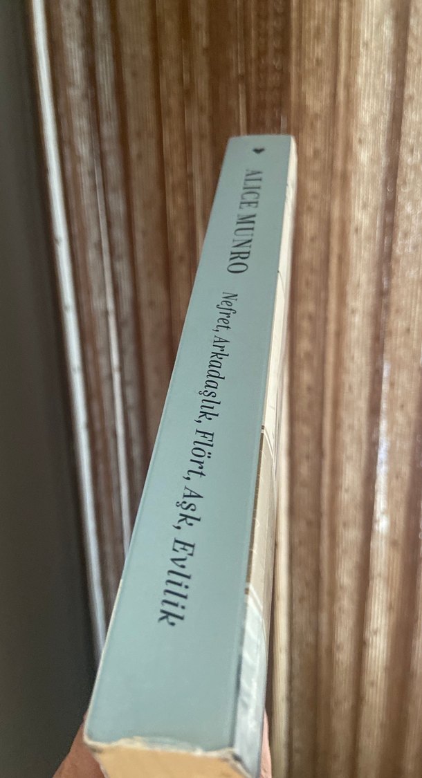 Nefret, Arkadaşlık, Flört, Aşk, Evlilik - Alice Munro - Görsel 3