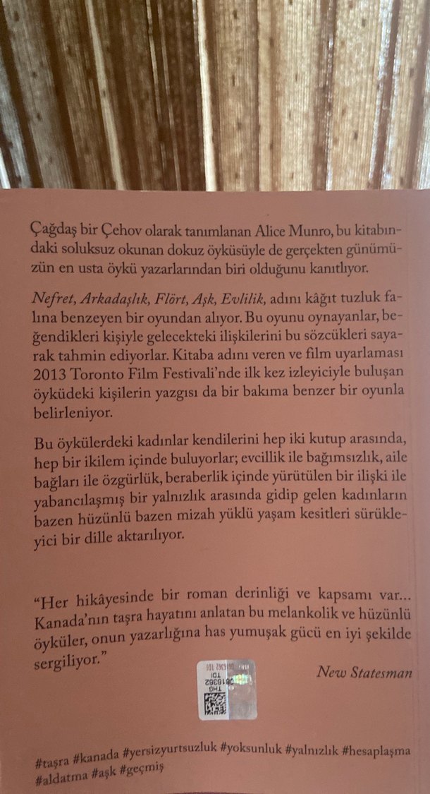 Nefret, Arkadaşlık, Flört, Aşk, Evlilik - Alice Munro - Görsel 2