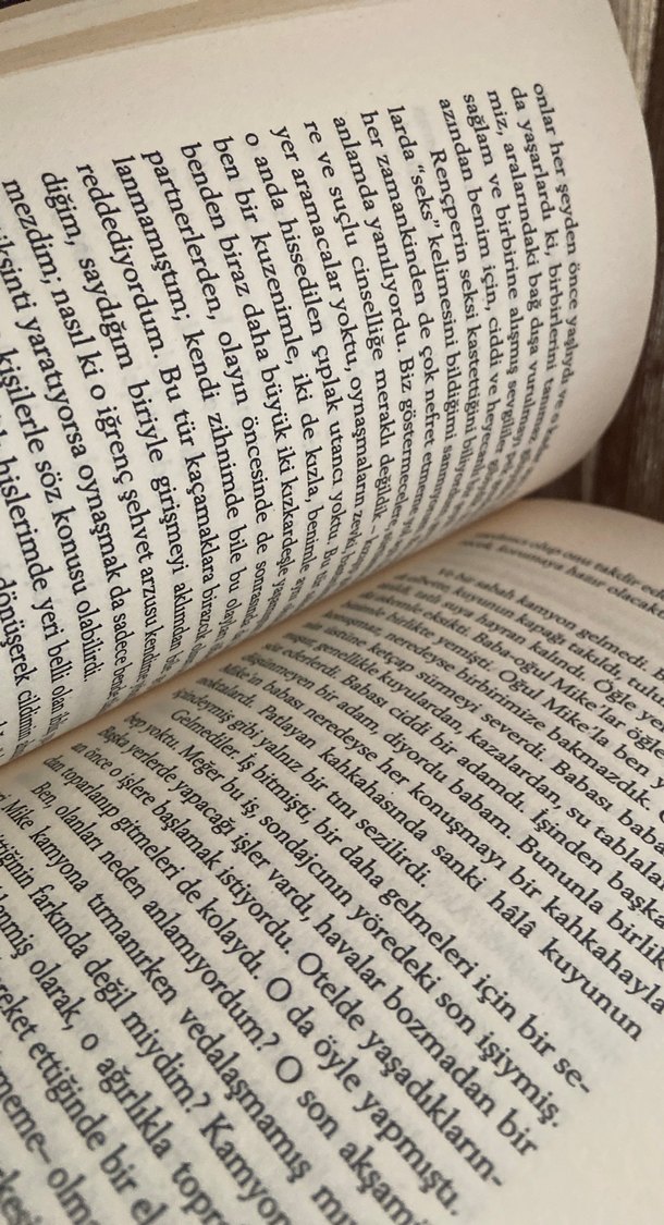 Nefret, Arkadaşlık, Flört, Aşk, Evlilik - Alice Munro - Görsel 4