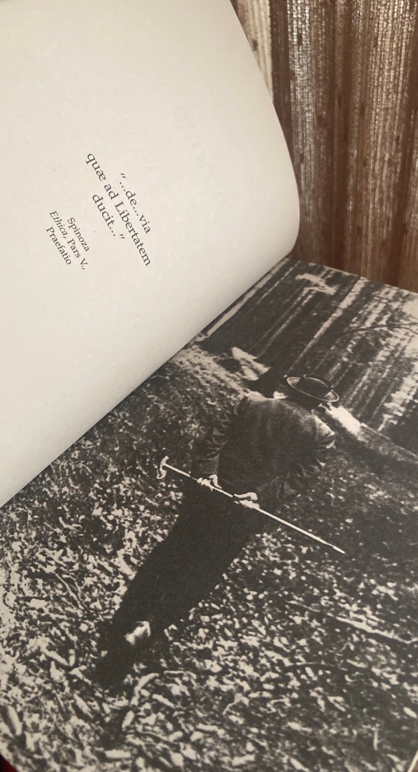 Yürüme - Oruç Aruoba - Görsel 4