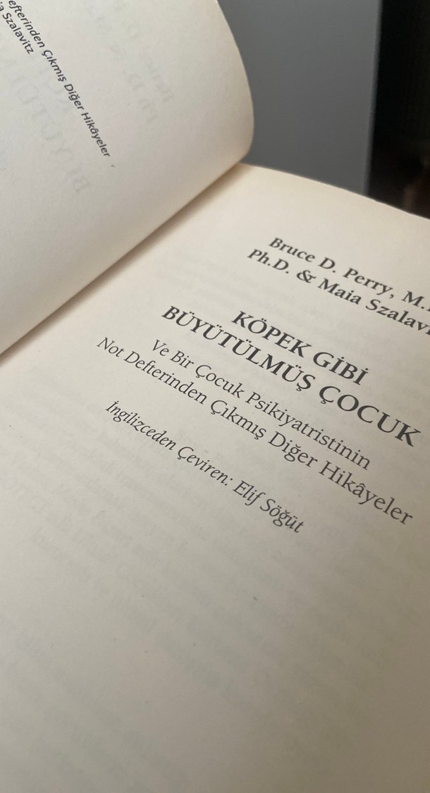 Köpek Gibi Büyütülmüş Çocuk - Psikiyatri Kitabı - Görsel 3
