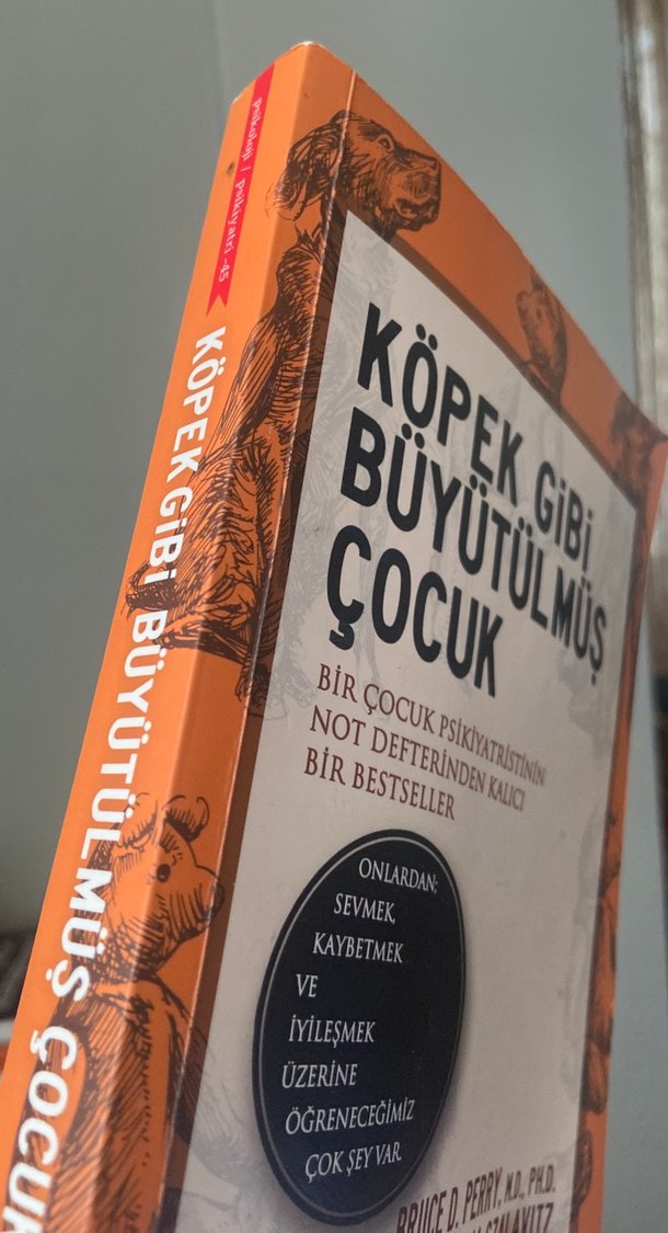 Köpek Gibi Büyütülmüş Çocuk - Psikiyatri Kitabı - Görsel 5