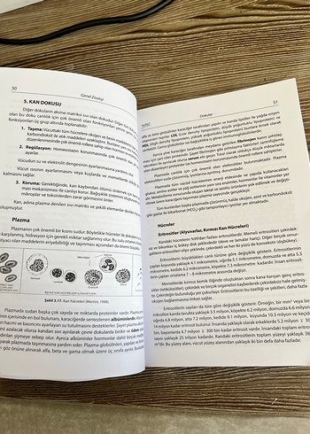 Genel zooloji ders kitabı - Görsel 4