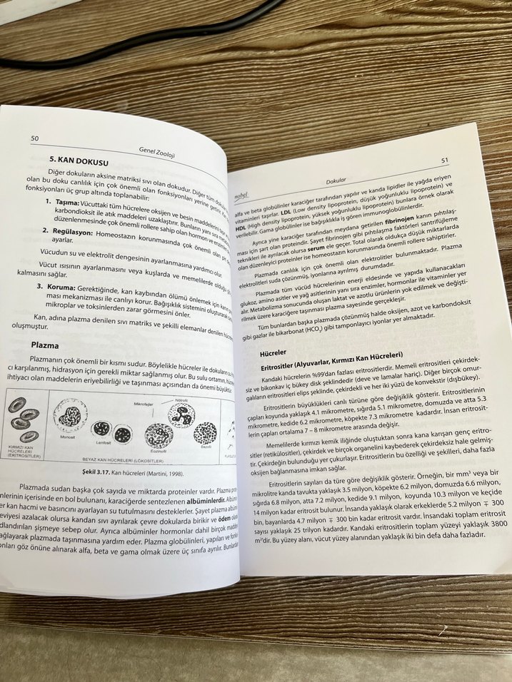 Genel zooloji ders kitabı - Görsel 4