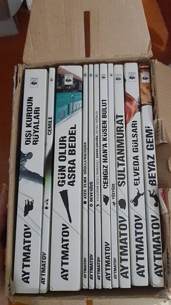  Beden Renk Kitap 
