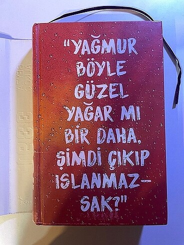 Beden Renk beyza alkoç-3391 kilometre(imzalı)