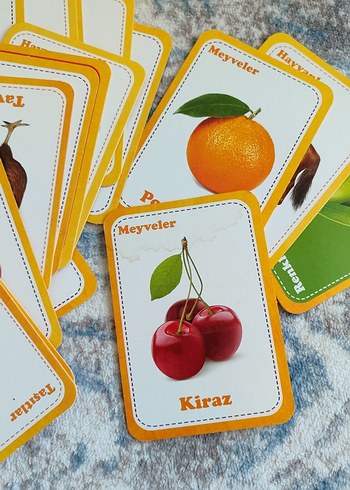 Diğer Renkli Eğitici Kartlar Seti