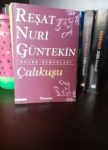 Calikusu