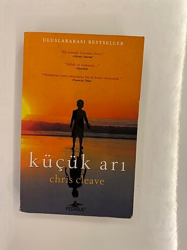 Chris cleave küçük arı