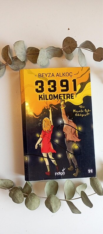 Beyza alkoç 3391 km