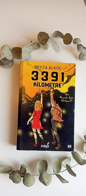  Beyza alkoç 3391 km