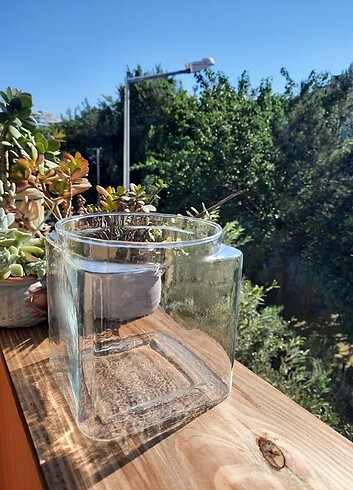 Çiçeksepeti cam kare vazo saksı 
