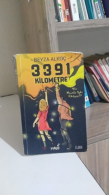 3391 KM beyza alkoc